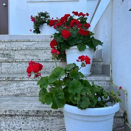 Soleemare Barletta
